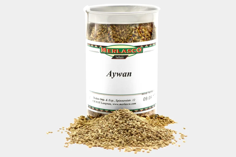 Aywan (Ajowan) (Carum copticum)
