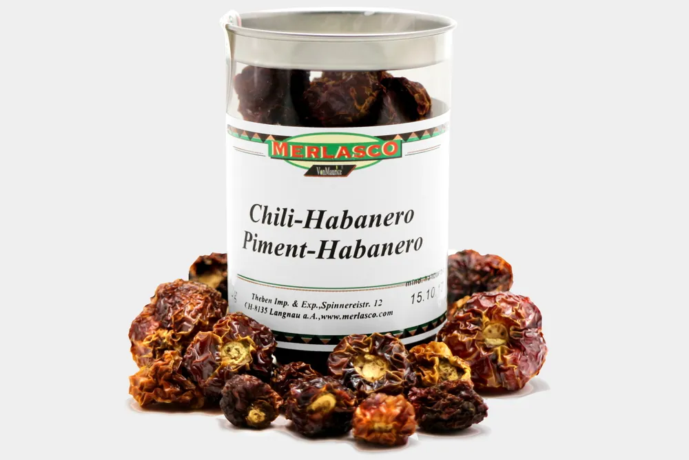 Chili-Habanero (Habanero Capiscum chinese)