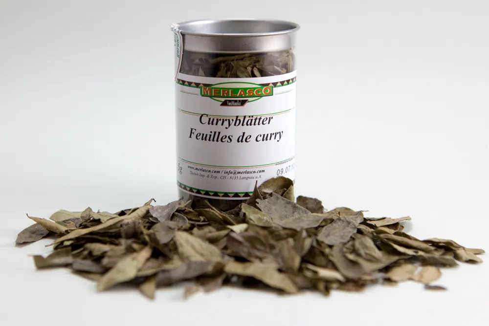 Curryblätter (Murraya koenigii)