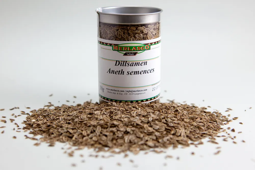 Dillsamen (Anethum graveolens)