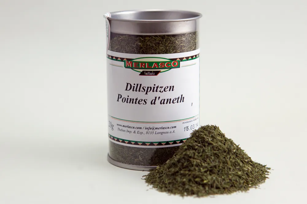 Dillspitzen (Anethum graveolens)
