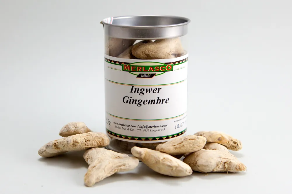Ingwer ganz (Zingiber officinale)