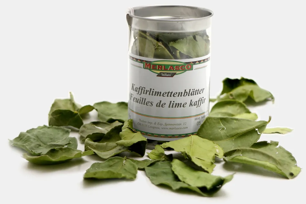 Kaffirlimettenblätter (gefriergetrocknet) (Citrus hystrix)