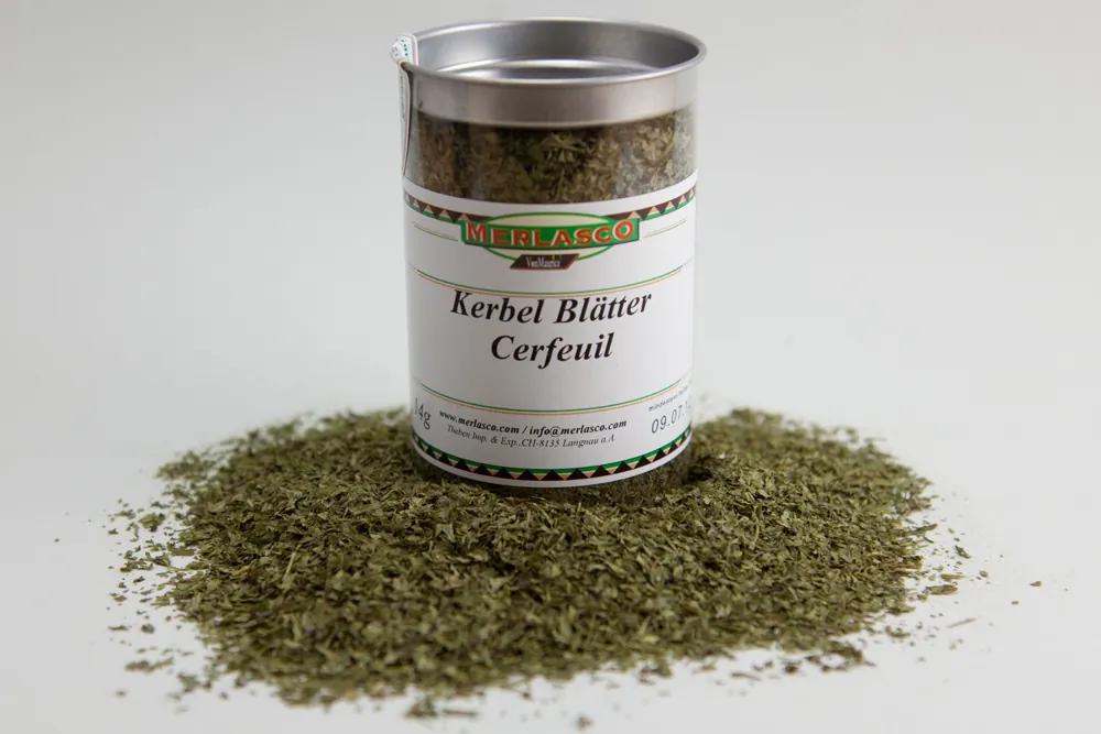 Kerbel  (Antrhriscus cerefolium)