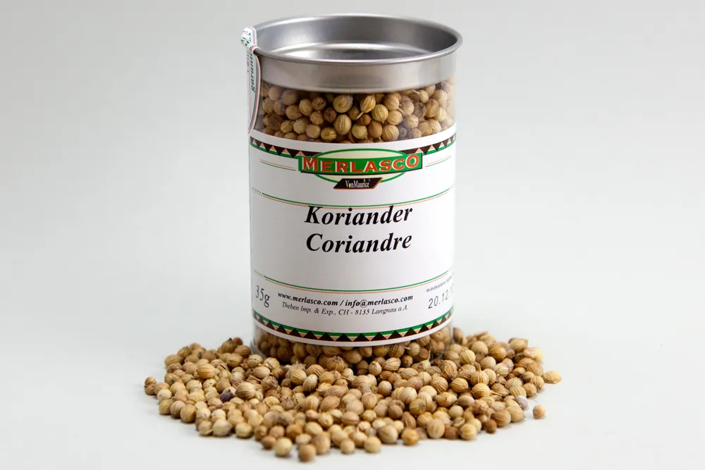 Koriander ganz (Coriandrum sativum)