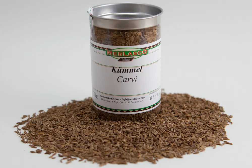 Kümmel ganz (Carum carvi)