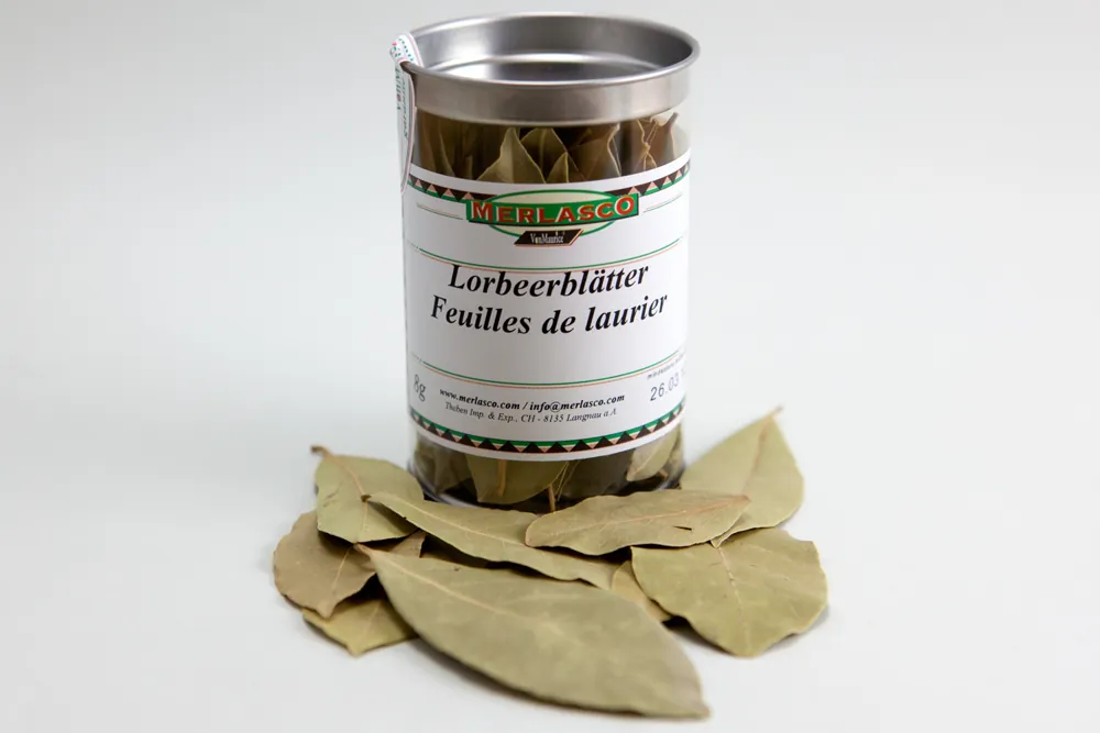 Lorbeerblätter (Laurus nobilis)