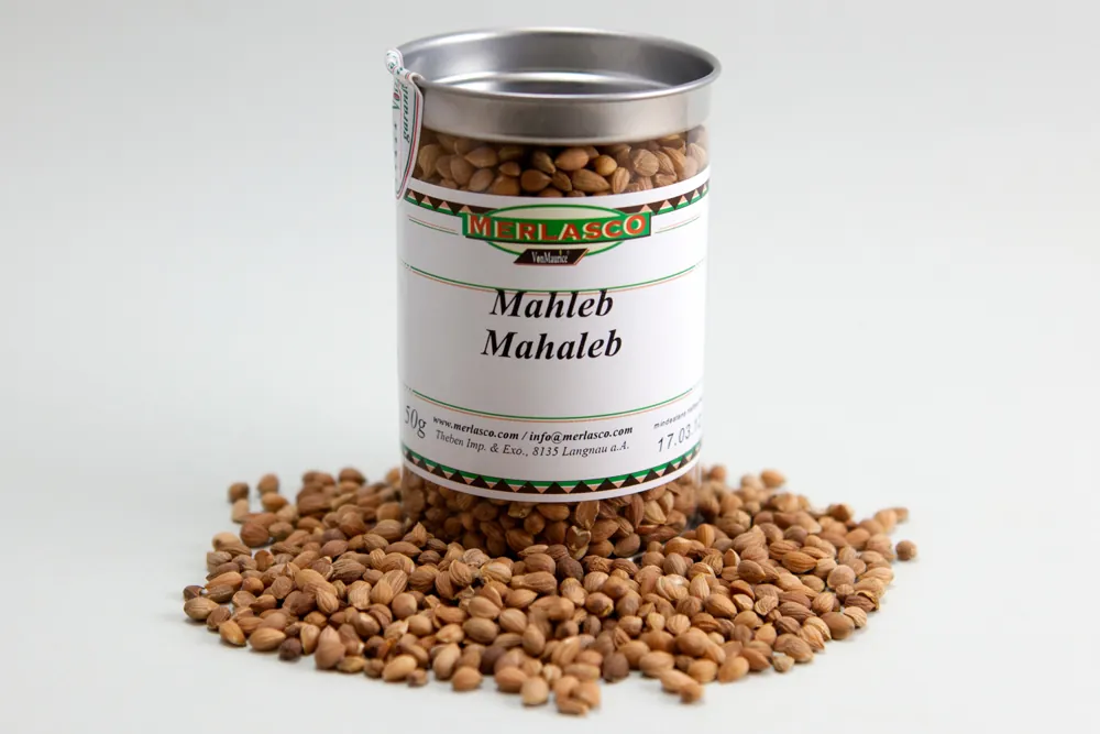 Mahleb (Felsenkirsche) (Prunus mahaleb)