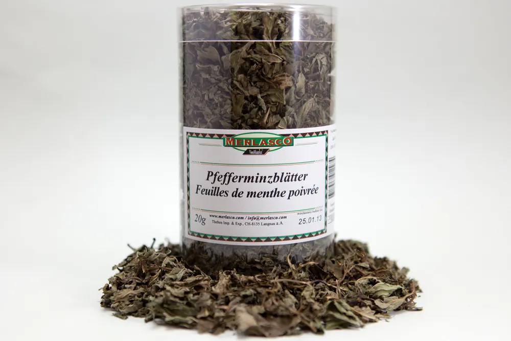 Pfefferminzblätter (mentha piperita)