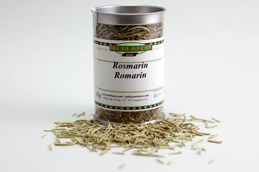Rosmarin ganz (Rosmarinus officinalis)